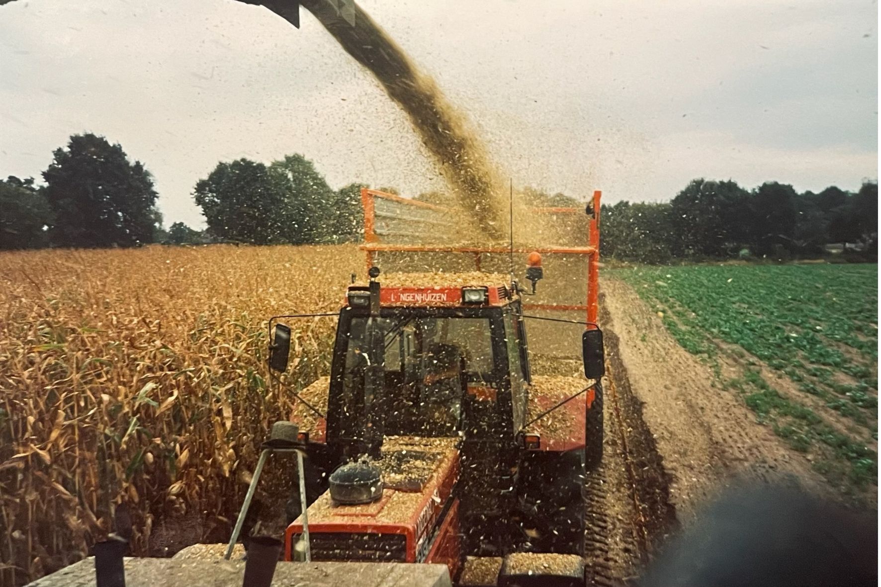 liggende fotos websit (17)